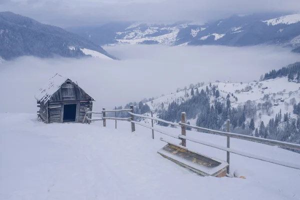 Bela paisagem de inverno nas montanhas dos Cárpatos — Fotografia de Stock