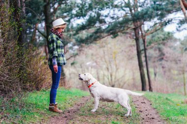 Kız ile güzel bir ormandaki bir köpek yürüyüş