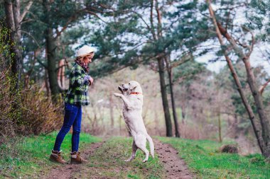 Kız ile güzel bir ormandaki bir köpek yürüyüş