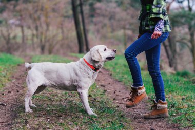 Ahşap bir köpek ile genç kız