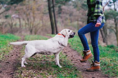 Ahşap bir köpek ile genç kız