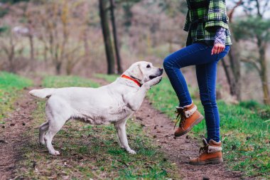Ahşap bir köpek ile genç kız