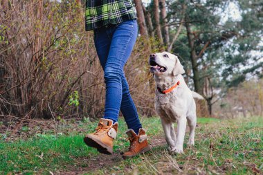 Ahşap bir köpek ile genç kız
