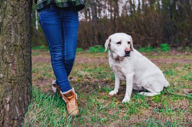 Ahşap bir köpek ile genç kız