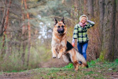 Ormanda güzel kızla oynayan Alman çoban
