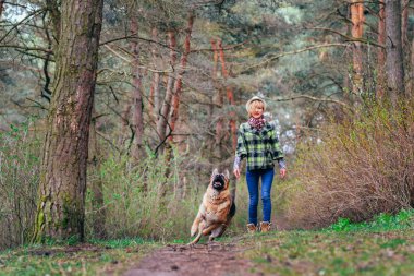Ormanda güzel kızla oynayan Alman çoban