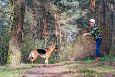 Ormanda güzel kızla oynayan Alman çoban