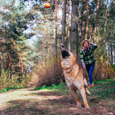 Ormanda güzel kızla oynayan Alman çoban
