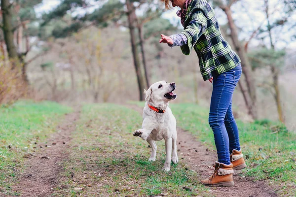 Ahşap bir köpek ile genç kız