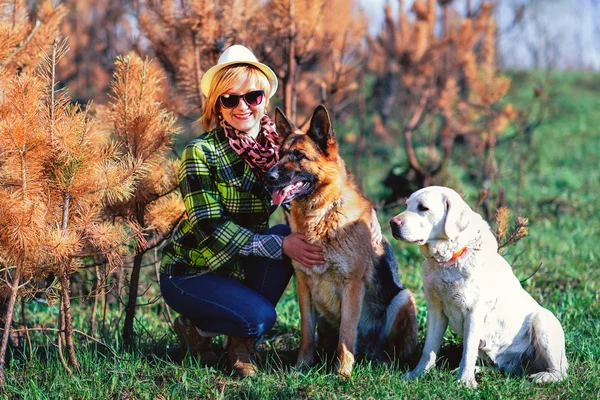 İki köpek ile ormanda bir yürüyüşe genç ve güzel bir kız