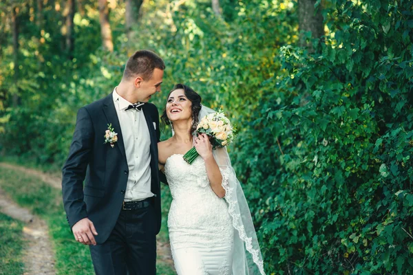 Novia y novio juntos. Pareja de boda. — Foto de Stock