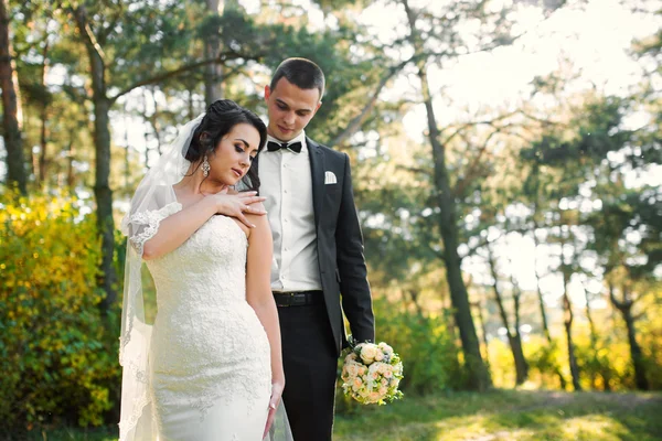 Groom and bride together. Wedding couple. — Stock Photo, Image