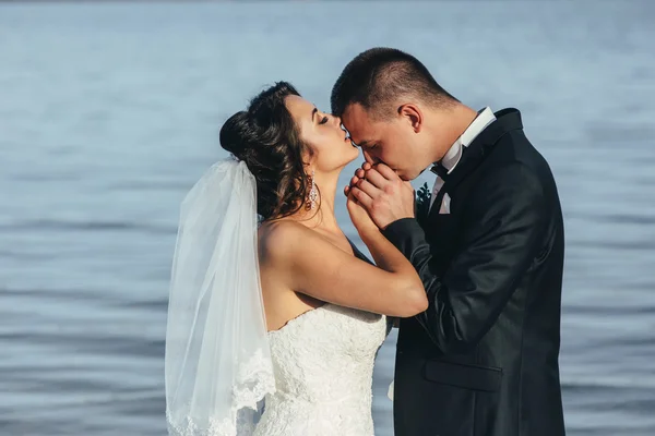 O noivo e a noiva juntos. Casamento casal. — Fotografia de Stock