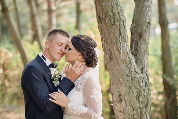 Noiva feliz e noivo em seu dia do casamento — Fotografia de Stock