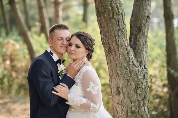 Noiva feliz e noivo em seu dia do casamento — Fotografia de Stock