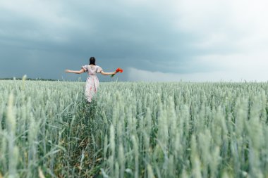 Yeşil buğday içeren alanı üzerinde çalışan bir genç güzel kız