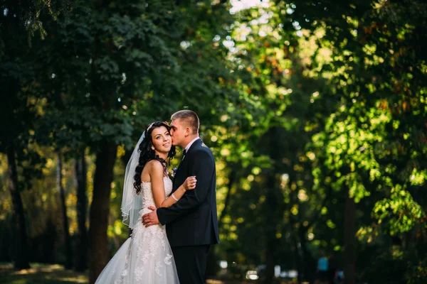 O noivo e a noiva juntos. Casamento casal. — Fotografia de Stock