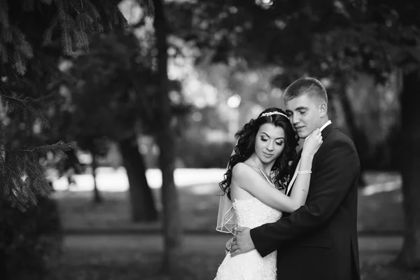 O noivo e a noiva juntos. Casamento casal. — Fotografia de Stock