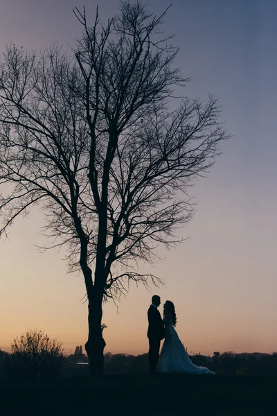 Романтична наречена і наречена спостерігають за заходом сонця — стокове фото