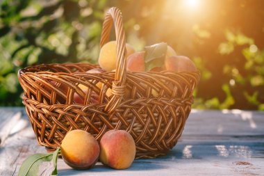 Olgun, sulu şeftali sepet masanın üzerine yerleştirilen
