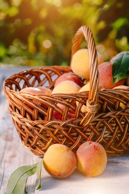 Olgun, sulu şeftali sepet masanın üzerine yerleştirilen