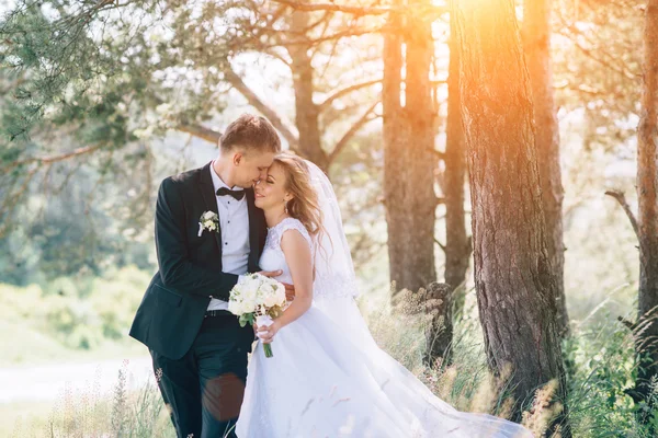 Novia y novio juntos. Pareja de boda. — Foto de Stock