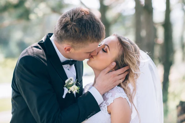 O noivo e a noiva juntos. Casamento casal. — Fotografia de Stock