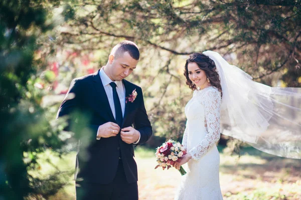 Pengantin pria dan wanita yang bahagia pada hari pernikahan mereka — Stok Foto