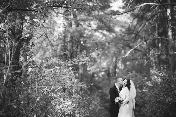 Noiva feliz e noivo em seu dia do casamento — Fotografia de Stock