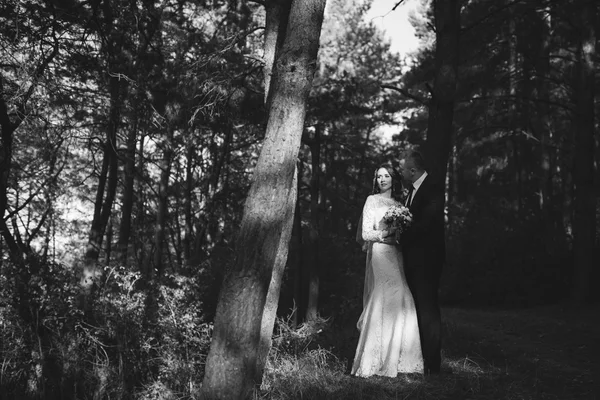 bir ormandaki açık havada güzel gelin.