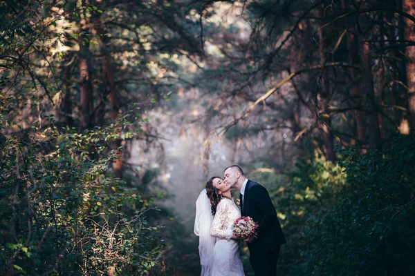 Lycklig brud och brudgum på deras bröllopsdag — Stockfoto