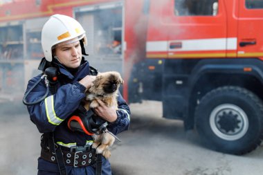İtfaiyeci, korkmuş bir köpeği duman dolu bir bodrumdan taşıyor..