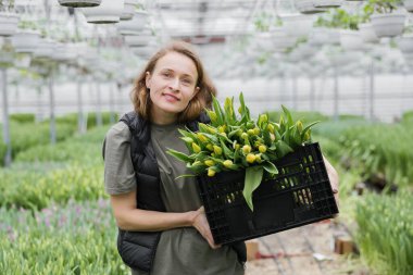 Serada elinde lalelerle duran genç bir kadın. Serada konsept iş.