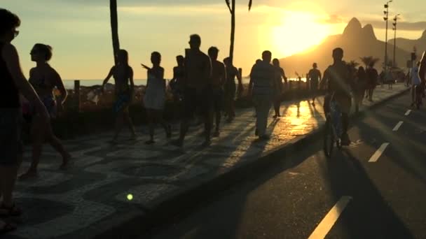 Surfer Rides Bike Ipanema Sunset Slow Motion — Stock Video