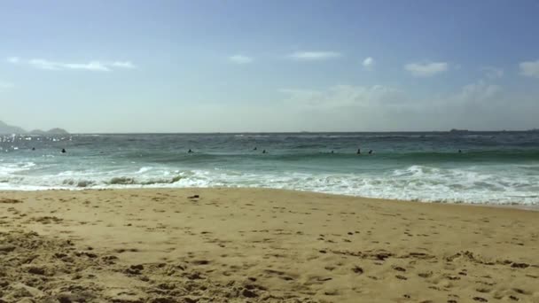 Hond strand Rio de Janeiro Brazilië — Stockvideo