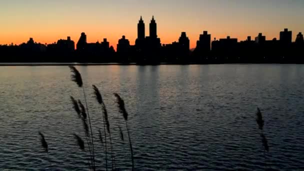 Central Park New Yorks solnedgång Skyline — Stockvideo