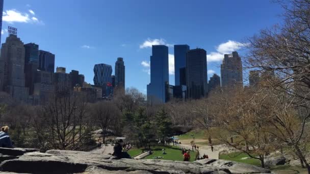 Central Park New Yorku turisté časová prodleva — Stock video