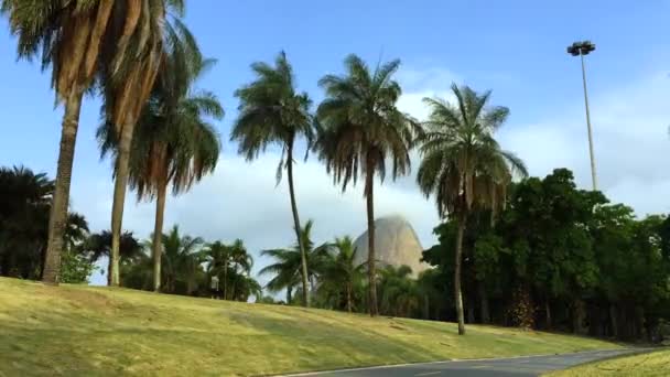 Rio de Janeiro Flamengo Park cykelled — Stockvideo