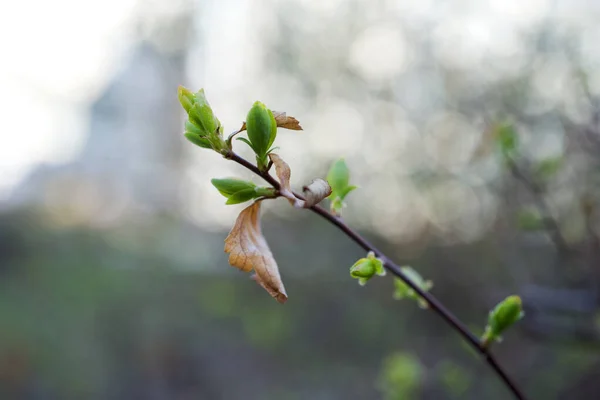 Banner merhaba April. Hoş geldin kartı. Yeni bahar ayını bekliyoruz..