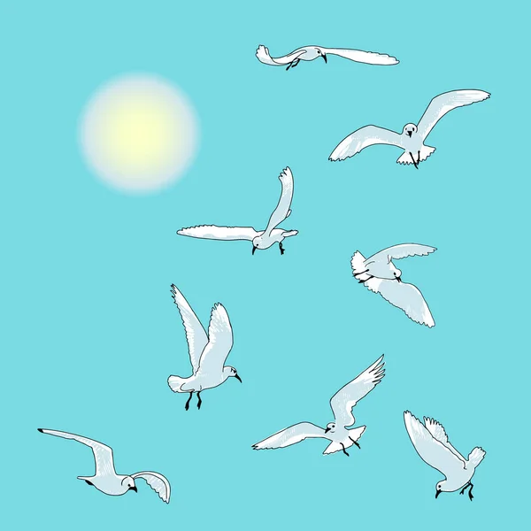 Uccelli marini, gabbiani in volo — Vettoriale Stock