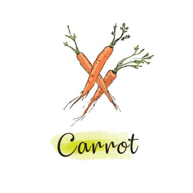 Robot resim tarzında havuç.