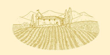 Üzüm bağı olan bir kır evi.