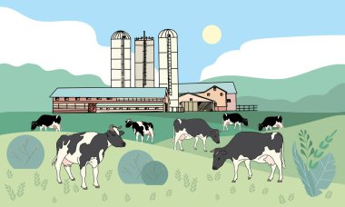 Benekli inekler, mandıra çiftliği.