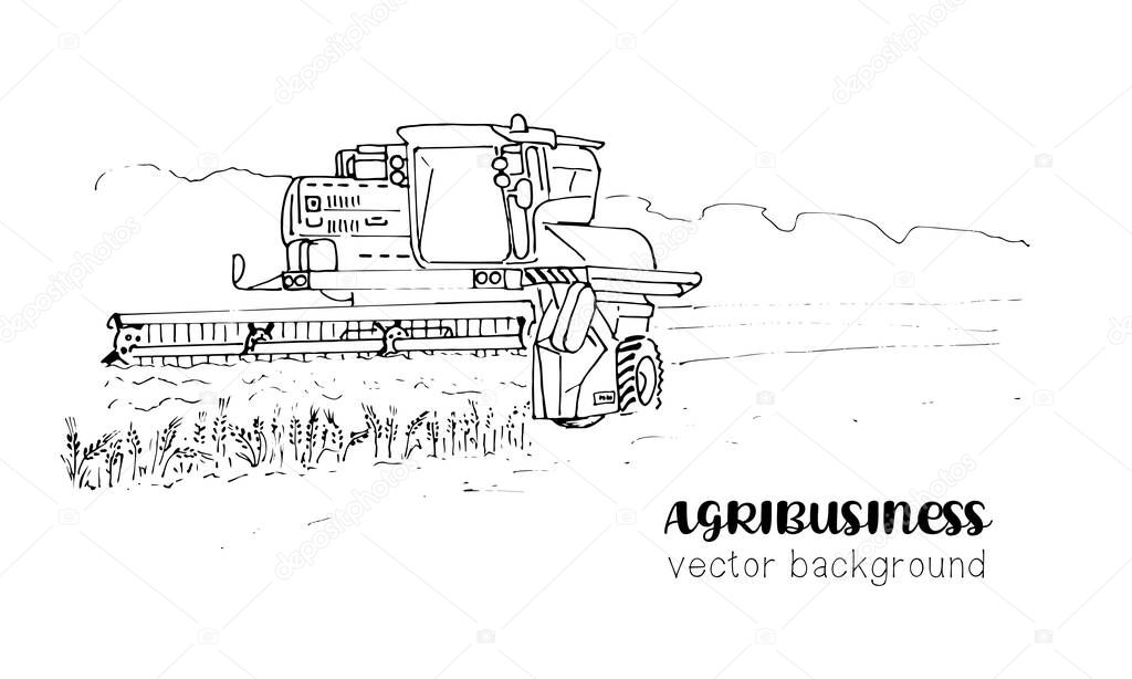 combine harvester in the wheat field