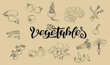 Skeç tarzında sebzelerin vektör çizimleri