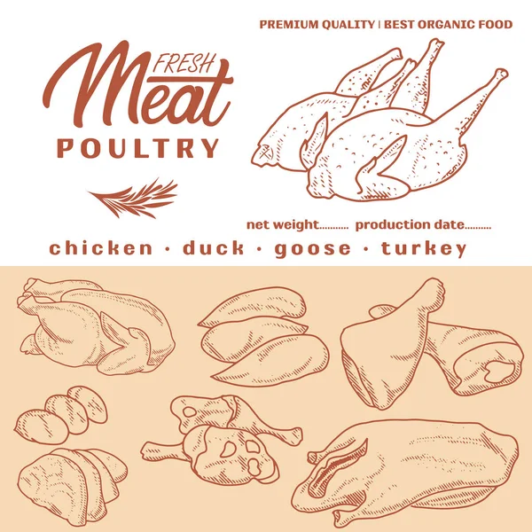 肉製品のフレーム 刻まれたベクトルデザイン 新鮮な家庭用鶏肉のセット 肉製品 ステッカー チラシの包装用テンプレート — ストックベクタ