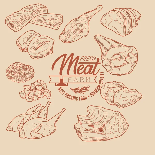 Fresh meat set — Stock Vector