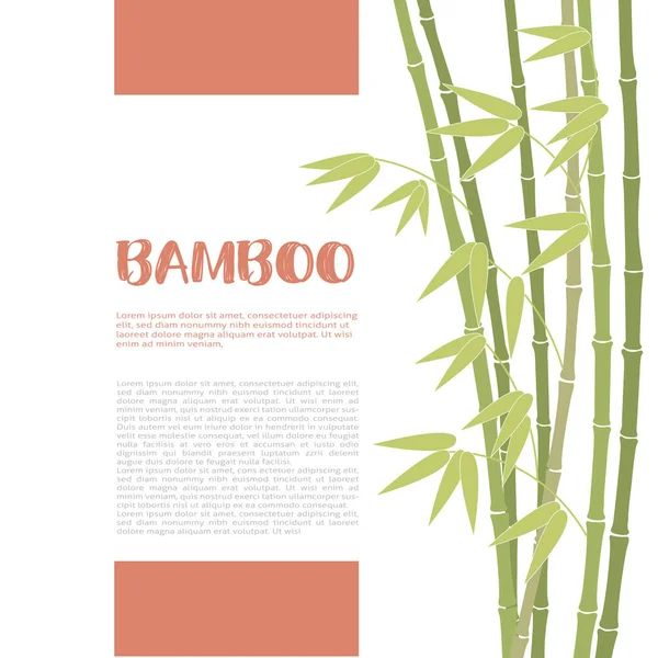 Fundo de ramos de bambu verde —  Vetores de Stock