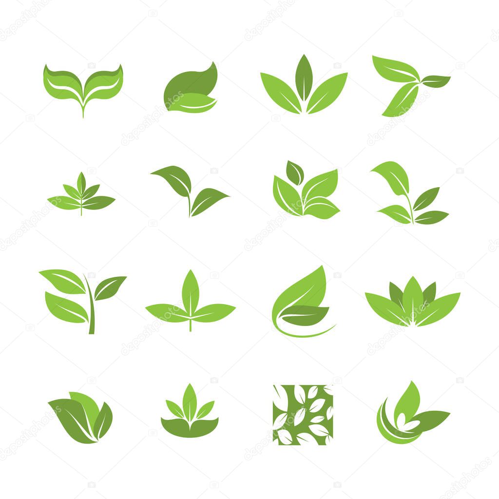 A set of icons with leaves