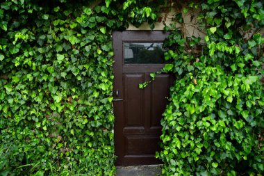 Sarmaşıkla kaplanmış eski bir yaz mutfağının kapısı.